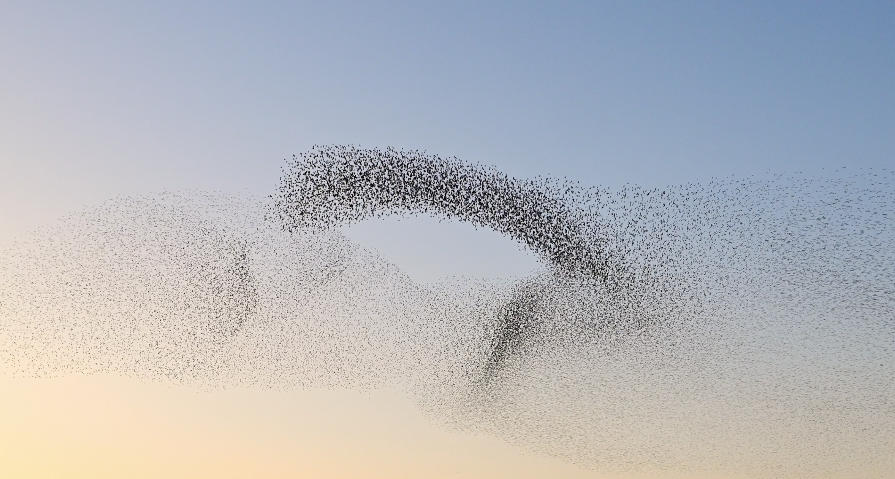 MASSIV+ featured in Dagens Industri